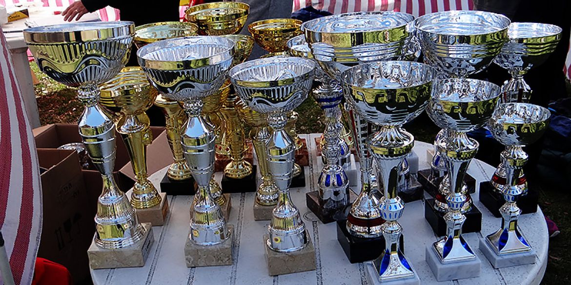 Trofeji iz 2017. godine na spomenutom natjecanju