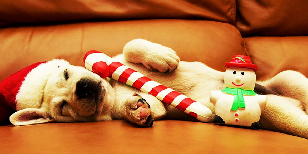 Odmorite se i najedite :)