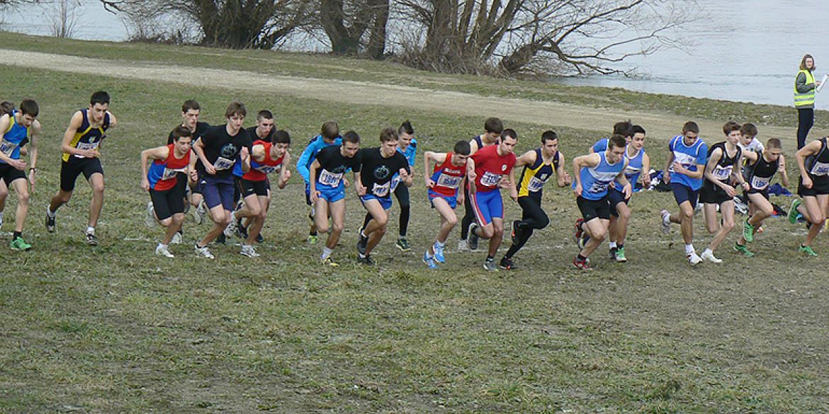 Start jedne od utrka iz 2013. godine
