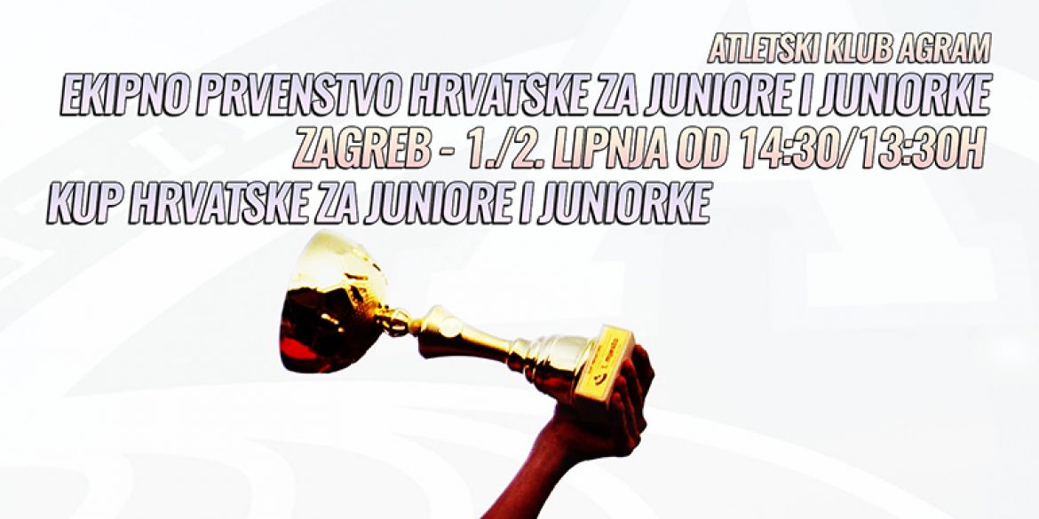 Vizual