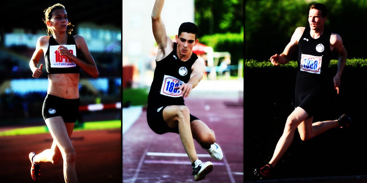 Trio o svemu pomalo u 2015.